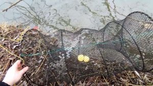 Рыбалка на верши часть 2! Рыбалка в микро речке!