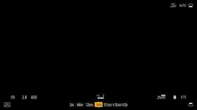 Panasonic Lumix GH5S - What Does The Dual Native ISO Setting Do ?