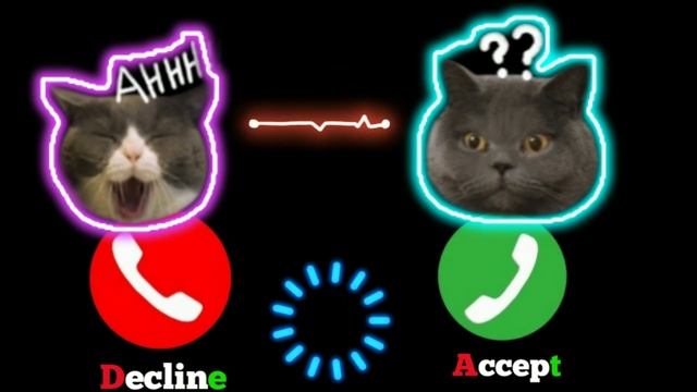 Apple Best Ringtone IPhone 15 Pro Max O Cat🍎#iphone #ringtone #cat Ep.04