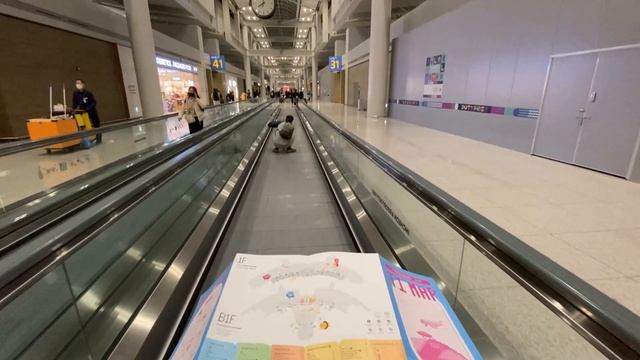 Из Сеула в Окленд / From Seoul to Auckland смотреть онлайн
