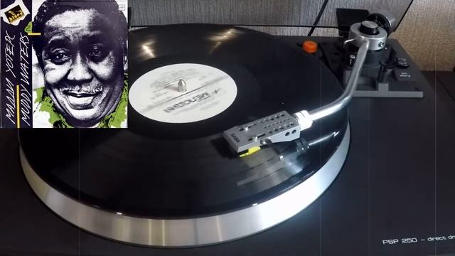 Muddy Waters - Мaster Of The Blues  Мадди Уотерс SIDE 1 (СССР 1990г)