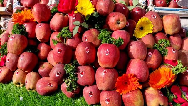 Kashmir apple Kullu 1300rs 20 kg Pune market @Gurudevdattaagencypune смотреть онлайн