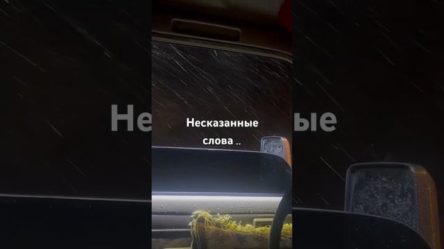 Несказанные слова… #elvingrey смотреть онлайн