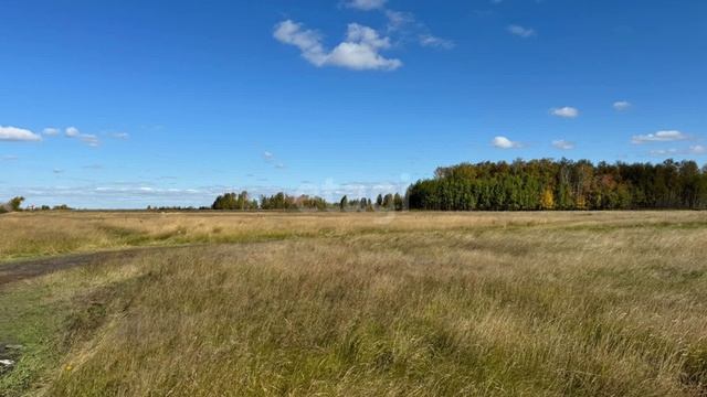 11523743 смотреть онлайн