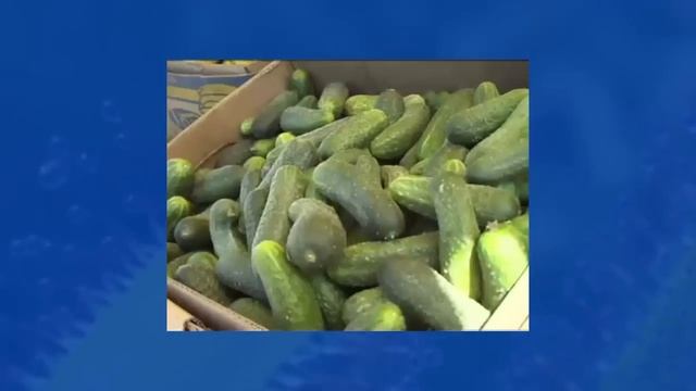 Гмо. Что это такое? смотреть онлайн