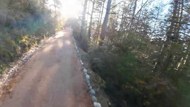 Кисловодск. Последствия пожара в парке, возникшего 30 сентября 2024 г. смотреть онлайн