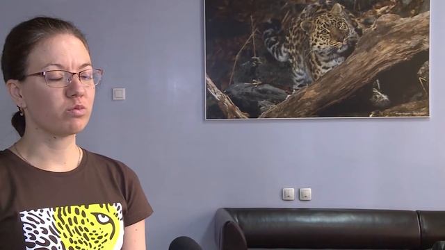 Учет редких кошек на "Земле леопарда" смотреть онлайн