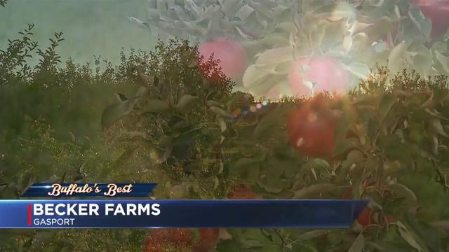 Buffalo's Best place to go apple picking: Becker Farms смотреть онлайн