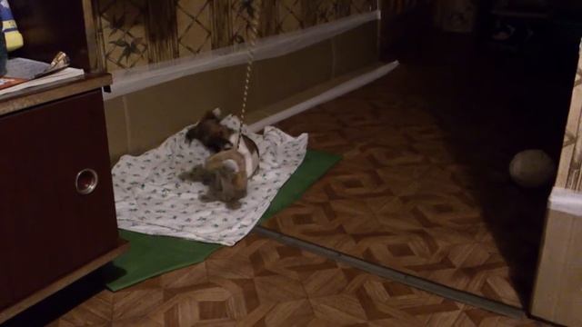 MOV 0173 смотреть онлайн