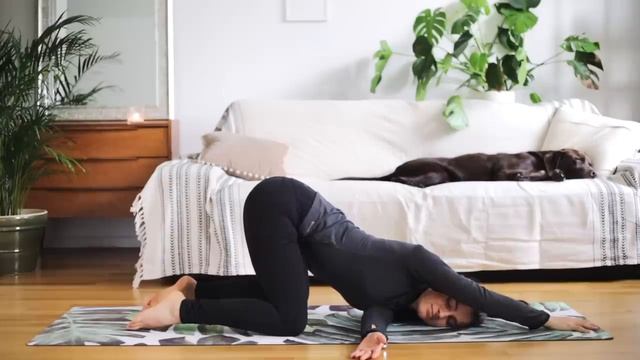 Yoga Rücken Anfänger Programm _ Übungen gegen Verspannungen und Rückenschmerzen