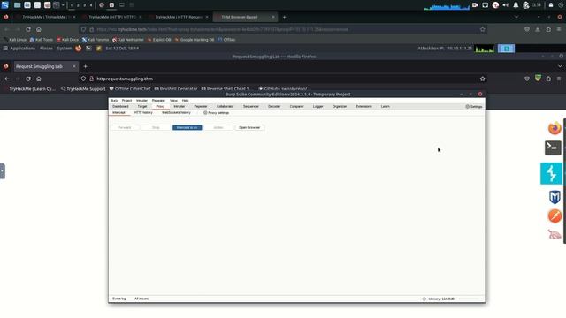 HTTP_1.1 smuggling lab смотреть онлайн
