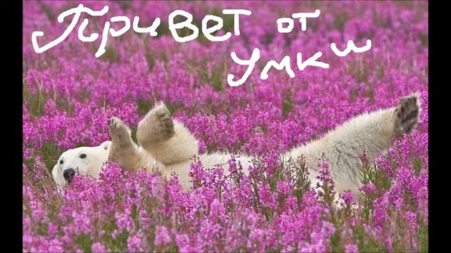 Hello baby смотреть онлайн