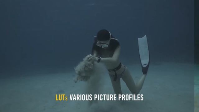 Underwater Color Grading (LUT): Before / After with the Maldavar Films LUTs 2nd Edition смотреть онлайн