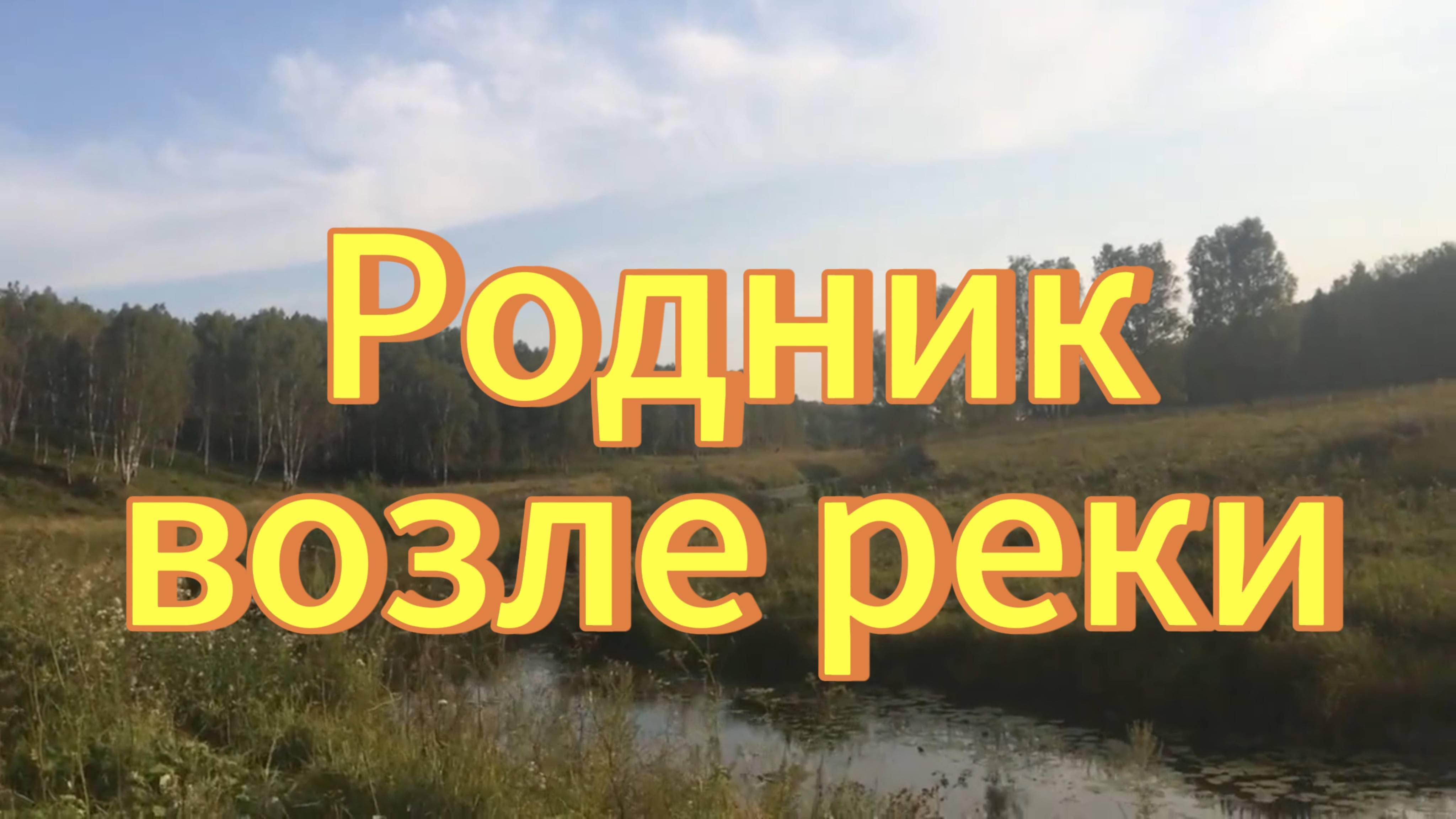 Родник в лесу возле реки Малые Изылы. Красивая природа Новосибирской области. Тогучинский район. смотреть онлайн