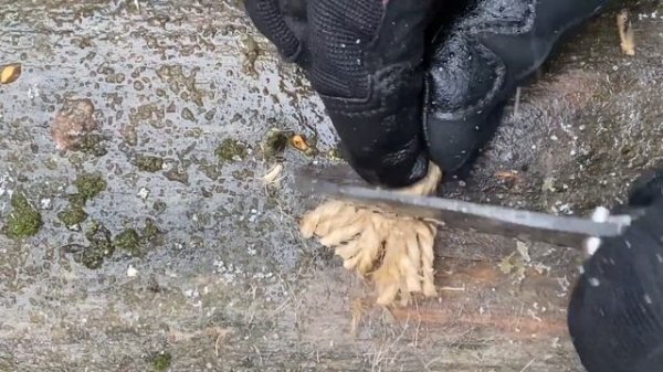 Нож Zero Tolerance 0350 тест / testing