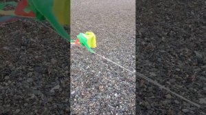 Как запускать воздушного змея