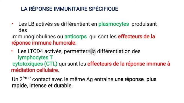 #Immunologie l'introduction à l'immunologie Par Amani Sarri смотреть онлайн
