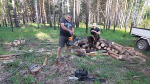 Бензопилы ZimAni MS361 - честно, объективно и по существу