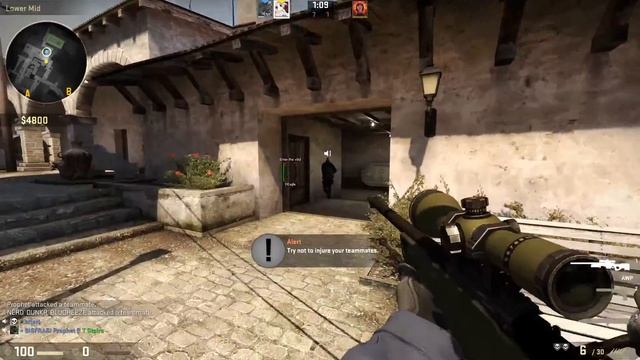 CS:GO Chicken turned into a meme? смотреть онлайн