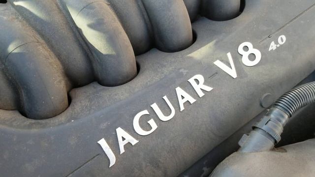 1998 Jaguar XJ8 Engine смотреть онлайн