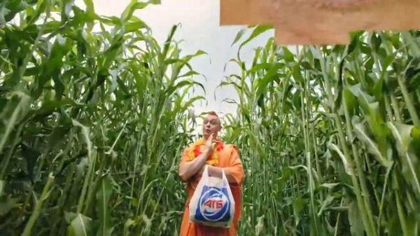 MOZGI   Полюбэ