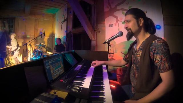 Henry B. & the Honey Lickers - Go your own way (Fleetwood Mac Cover) смотреть онлайн