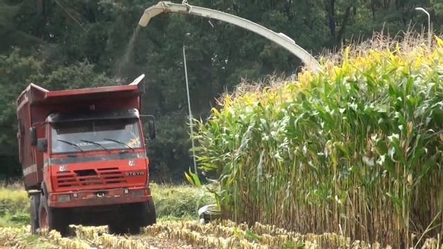 part 3 Boxtel Cornharvest 2021 Jennisssen Claas jaguar 950 + New 750 orbis + 2 fendt + kaweco+truc смотреть онлайн
