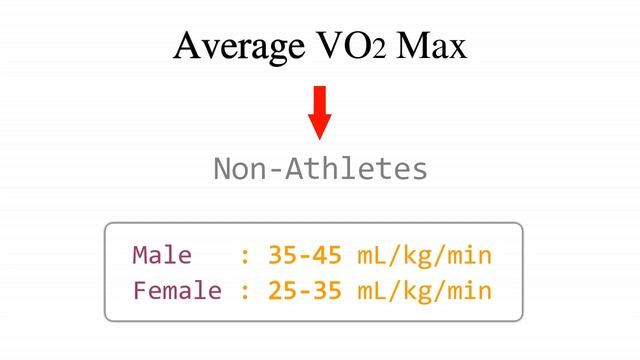 What is VO2 Max ? How to Measure / Calculate VO2 Max ? Average VO2 Max ? Explained with Examples смотреть онлайн