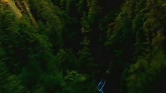 Jaguar AMV смотреть онлайн