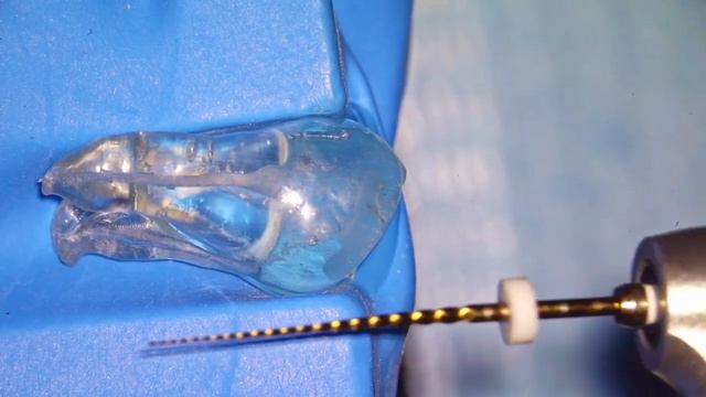 Борисов Александр - нестандартный протокол обработки широких каналов R-Shaper и Apex Max