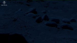 Операция: Спецназ 1 сезон 18 серия