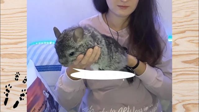 Ответы на ваши вопросы! смотреть онлайн