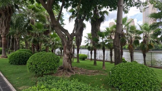 Китай, Сямен (Xiamen), Jul 2024, парк возле водохранилища смотреть онлайн