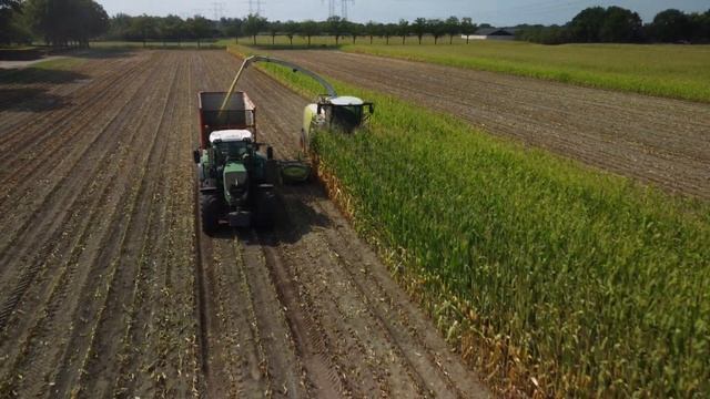 Cornharvest 2022 dronefootage Van Rulo Claas jaguar 950 + 750 orbis +John Deere + Fendt смотреть онлайн