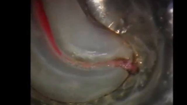 Инструмент PathFile