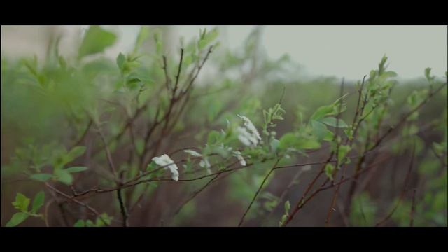 Sony FX3 ProRes Raw HQ colour cinematic look test смотреть онлайн