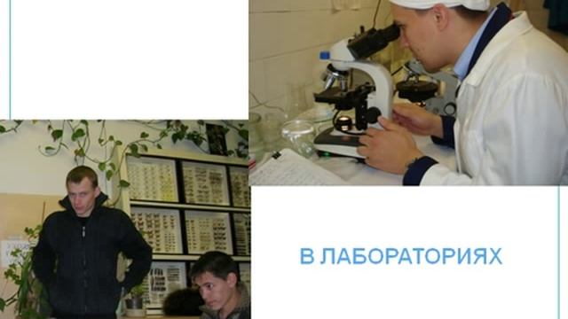 Технологический факультет УрГСХА 2012 смотреть онлайн