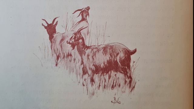 Русская народная сказка. «Козлы-Драчуны». смотреть онлайн