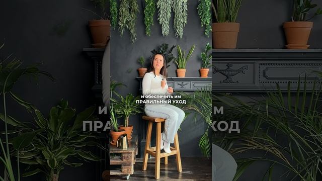 Как правильно ухаживать за домашними растениями? 🌿