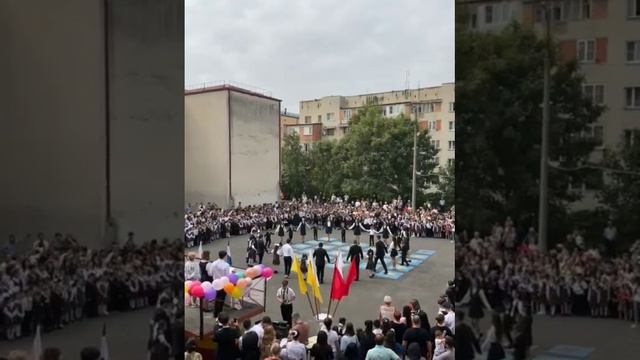 document_5388600685505828654 смотреть онлайн