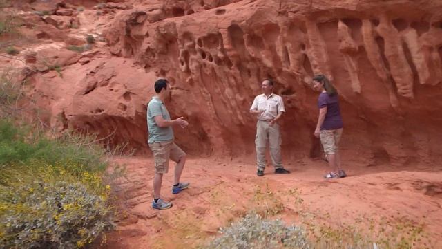 Premium Journey: Valley of FireTour from Las Vegas - Pink Jeep Tours смотреть онлайн