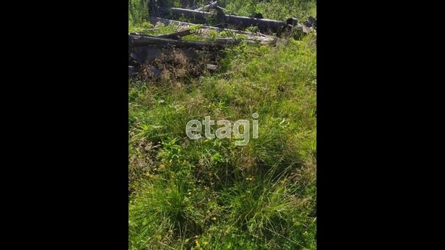 6893343 смотреть онлайн