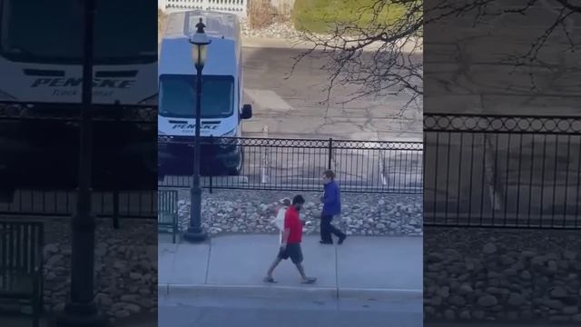 Собака-квадробер) смотреть онлайн