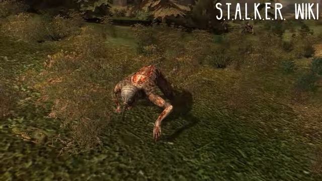 Снорки смотреть онлайн