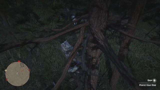 Red Dead Redemption 2 100% Walkthrough Chapter 2 Part 161 Garments Wrangler No Man's Vest смотреть онлайн