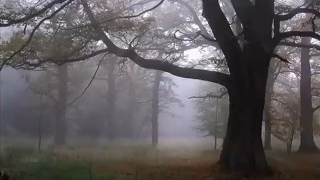 Agalloch-The Melancholy Spirit