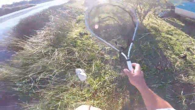 Carp in the orange river смотреть онлайн