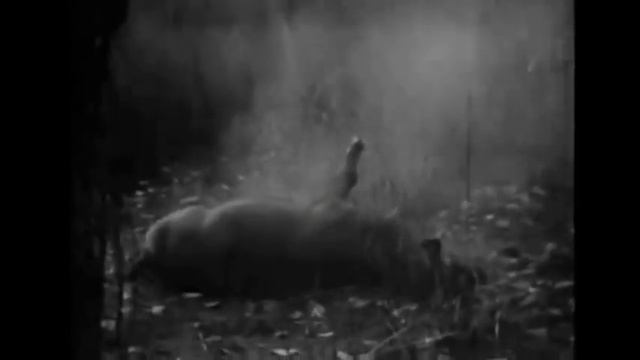 Der Dritte Raum Vs Adamski - Hale Bopp Vs Killer (Soul Tan Mashup)