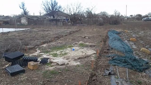 Начинаем выращивать клубнику с нуля(снова). Планы на парники и получение соцконтракта. смотреть онлайн