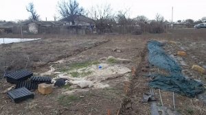 Начинаем выращивать клубнику с нуля(снова). Планы на парники и получение соцконтракта.